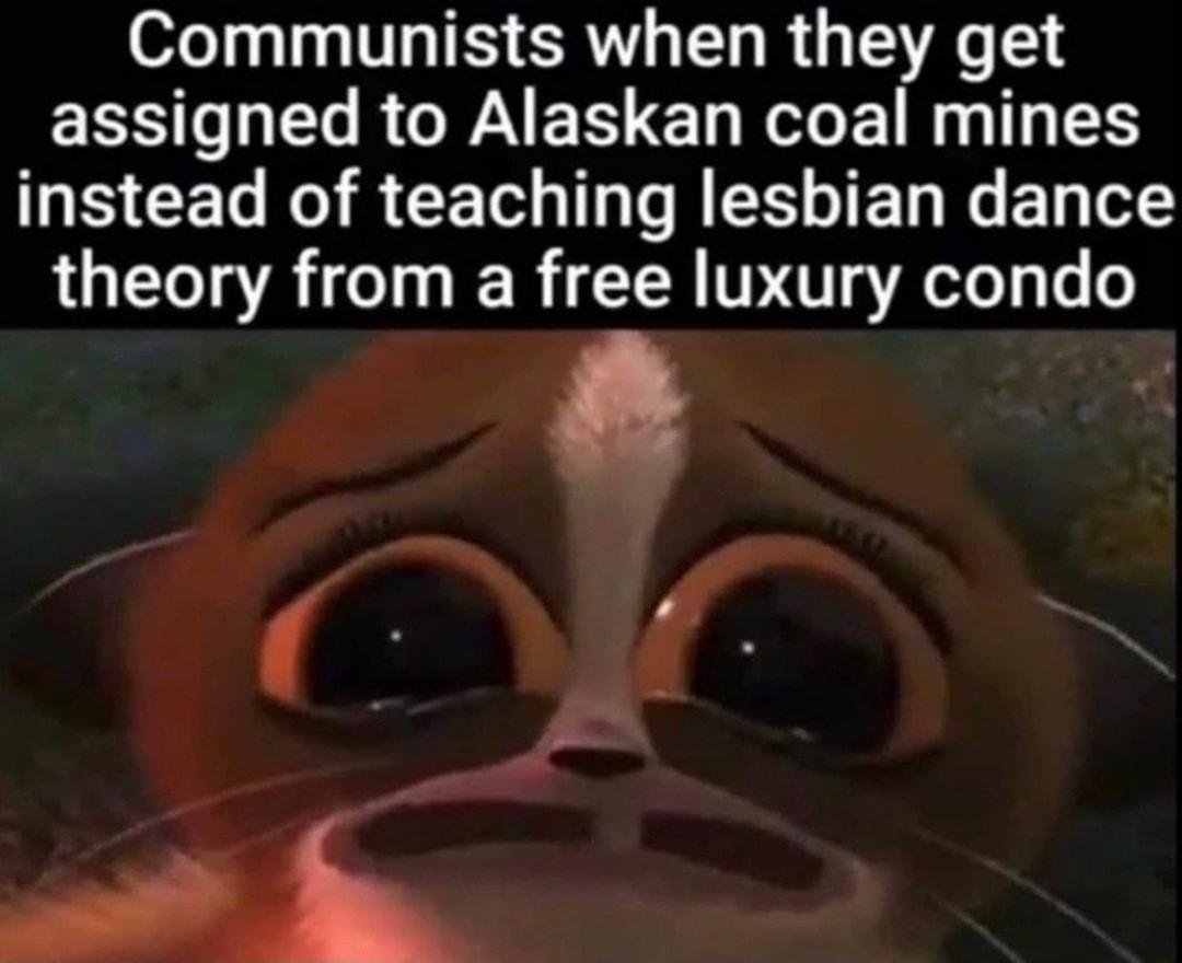 o1 I T TS R T B T 1216 ERST G R CRAES LRSS S CET R R T T J ST ET NG E T TS theory from a free luxury condo