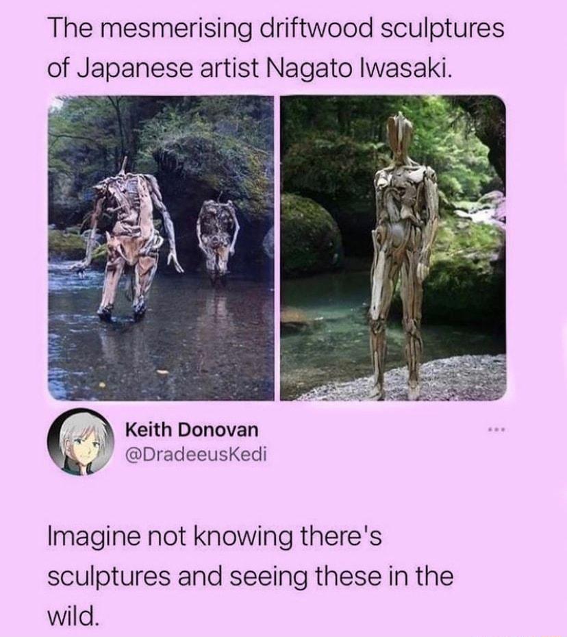 The mesmerising driftwood sculptures of Japanese artist Nagato Iwasaki 2 Keith Donovan i DradeeusKedi Imagine not knowing theres sculptures and seeing these in the wild