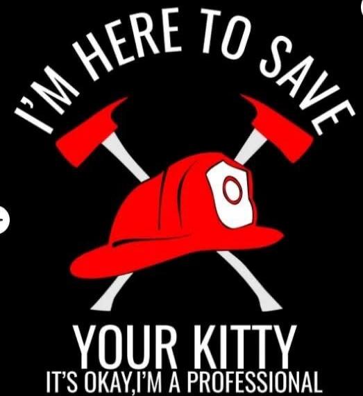 I'M HERE TO SAVE YOUR KITTY IT'S OKAY, I'M A PROFESSIONAL