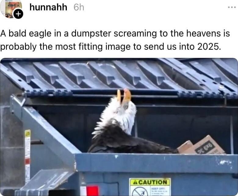 M2 hunnahh 0 A bald eagle in a dumpster screaming to the heavens is probably the most fitting image to send us into 2025