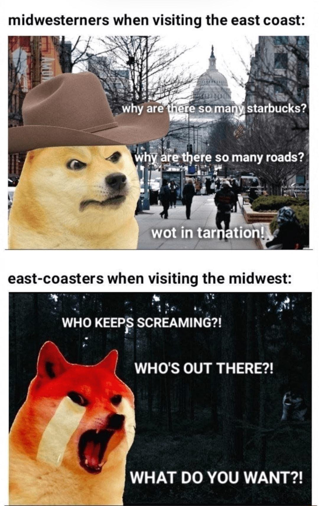midwesterners when visiting the east coast L e there so many roads Bt 0 east coasters when visiting the midwest WHO KEEPS SCREAMING WHOS OUT THERE JWHAT IR o UR7 g