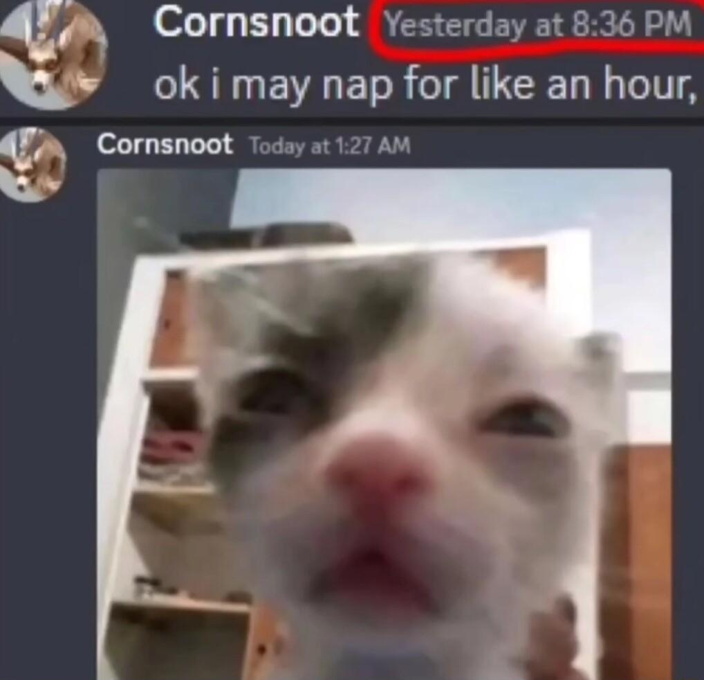 FA Cornsnoot Yesterday at 836 PM N v ok i may napfor like an hour q Cornsnoot Today at 127 AN o