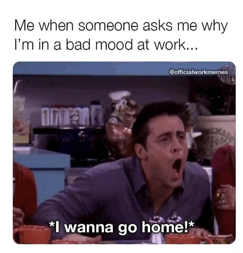 Me when someone asks me why I’m in a bad mood at work... *I wanna go home!*