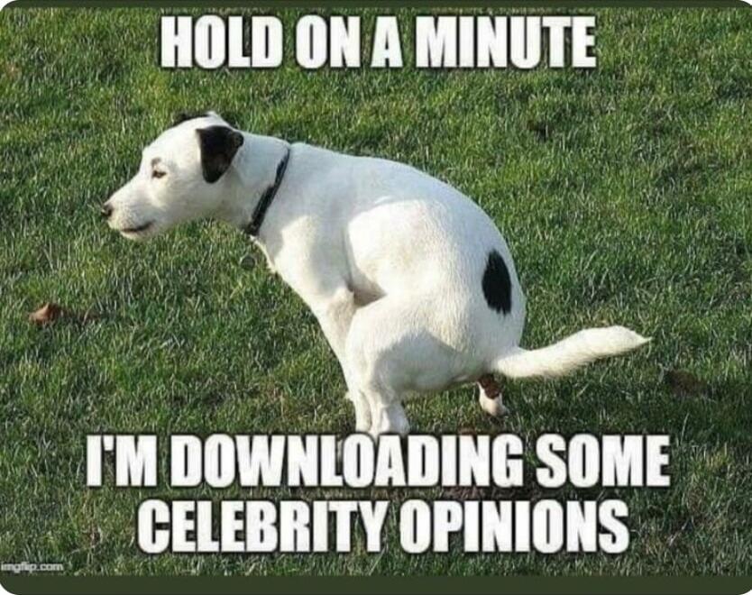 HOLD ON A MINUTE I'M DOWNLOADING SOME CELEBRITY OPINIONS