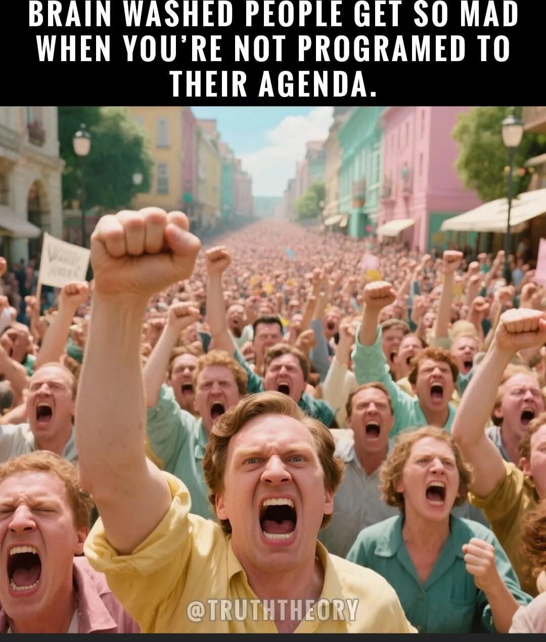 BRAIN WASHED PEOPLE GET SO MAD WHEN YOU'RE NOT PROGRAMMED TO THEIR AGENDA. @TRUTHTHEORY