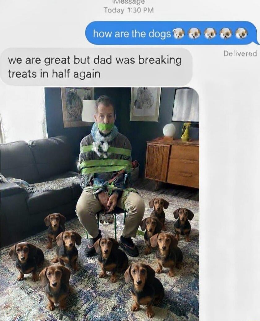 how are the dogs 🐶🐶🐶
we are great but dad was breaking treats in half again