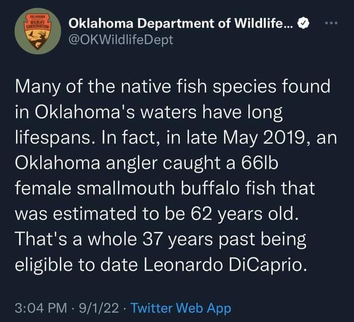 Oklahoma Department of Wildlife Glel VI E T Many of the native fish species found in Oklahomas waters have long lifespans In fact in late May 2019 an Oklahoma angler caught a 66lb female smallmouth buffalo fish that was estimated to be 62 years old Thats a whole 37 years past being eligible to date Leonardo DiCaprio 304 PM 9122 Twitter Web App
