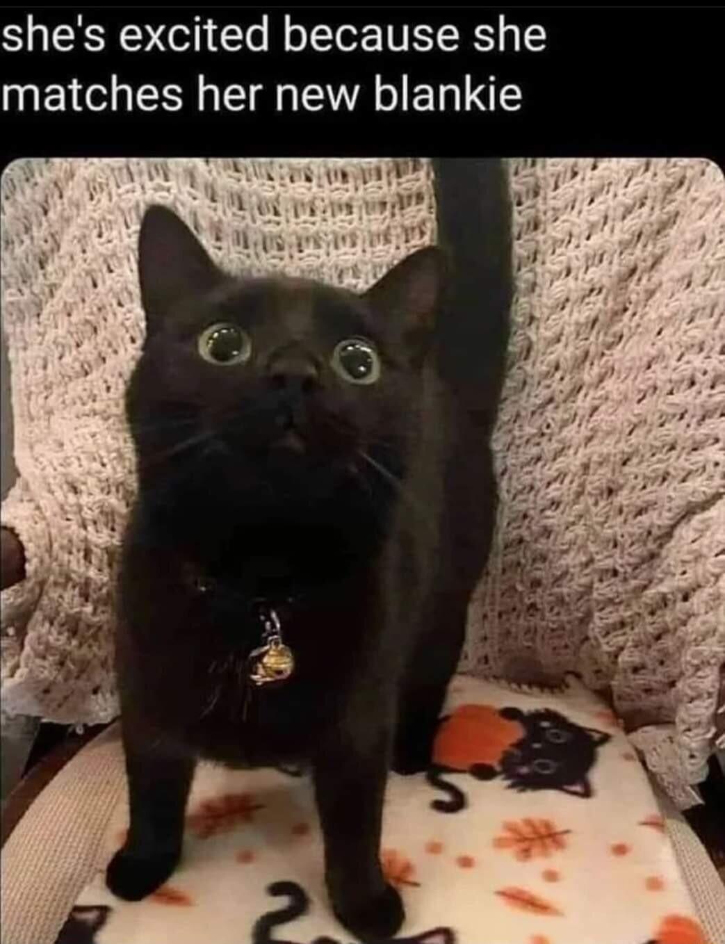 shes excited because she matches her new blankie