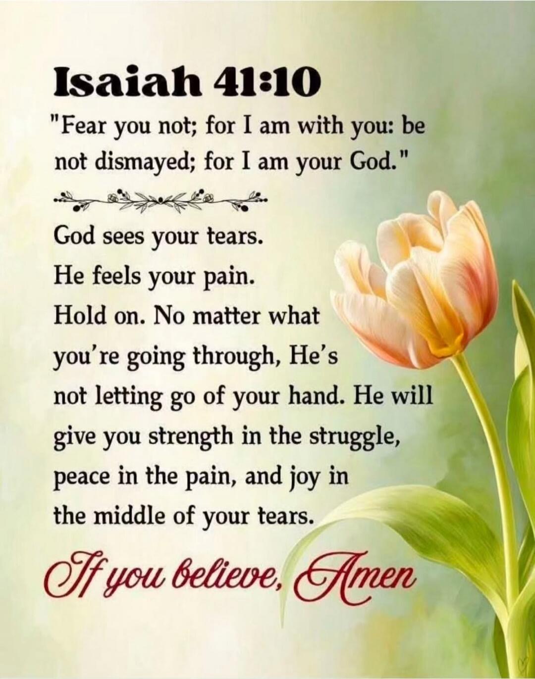 Isaiah 41:10 