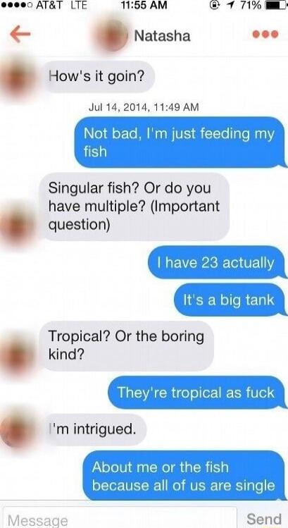 ATT LTE 1155 AM 7 71 Natasha Ll Hows it goin Jul 142014 1149 AM Not bad Im just feeding my Singular fish Or do you have multiple Important question have 23 act Its a big tank Tropical Or the boring kind Theyre tropical as fuck m intrigued About me or the fish oLTet VET R 1 ol AVERE R oo 2 saq Send