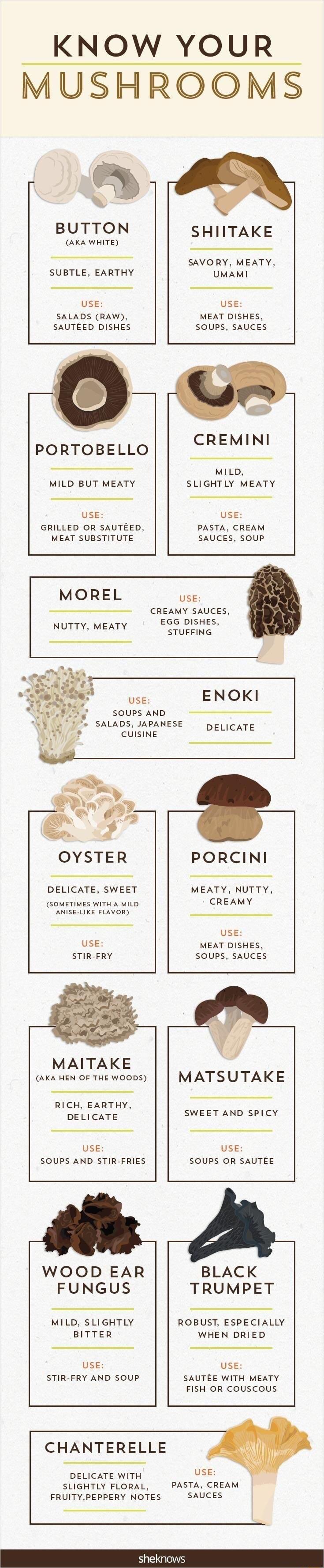 KNOW YOUR MUSHROOMS N BUTTON AKA WHITE SUBTLE EARTHY USE SALADS RAW SAUTEED DISHES SHIITAKE SAVORY MEATY UMAMI USE MEAT DISHES SOUPS SAUCES PORTOBELLO MILD BUT MEATY USE GRILLED OR SAUTEED MEAT SUBSTITUTE CREMINI MILD SLIGHTLY MEATY USE PASTA CREAM SAUCES sOoupP MOREL NUTTY MEATY CREAMY SAUCES EGG DISHES USE STUFFING USE SOUPS AND SALADS JAPANESE ENOKI DELICATE CUISINE OYSTER PORCINI DELICATE SWEE