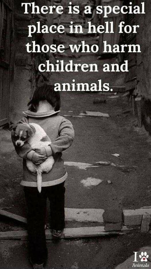 There is a special placein hell for those who harm children and animals 7