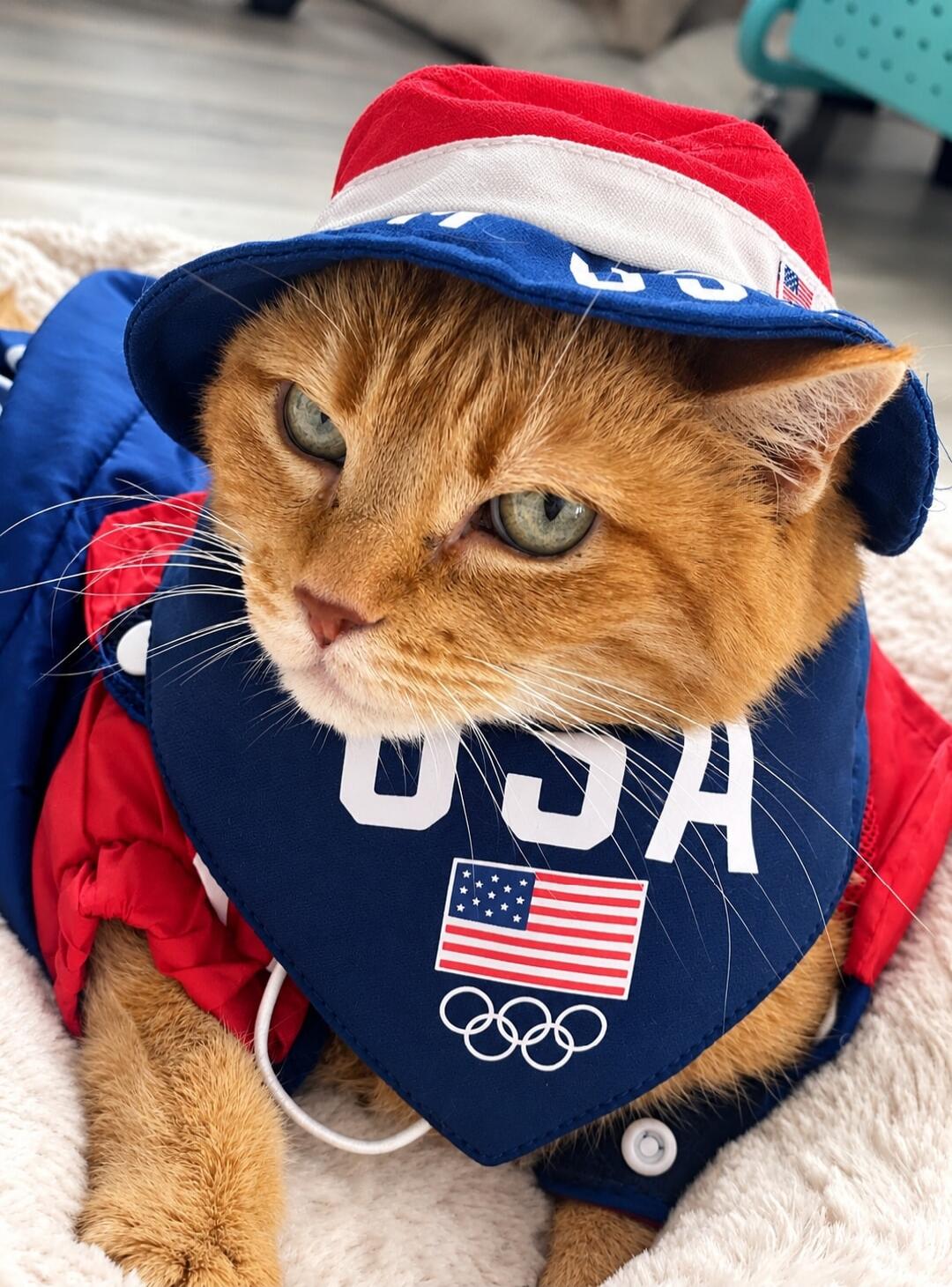 USA, American flag, Olympic rings