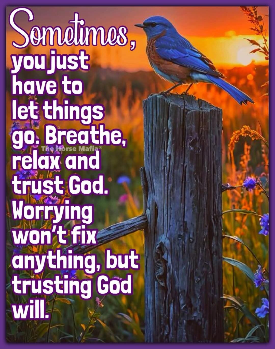 Sometimes, you just have to let things go. Breathe, relax and trust God. Worrying won't fix anything, but trusting God will. The Horse Mafia®