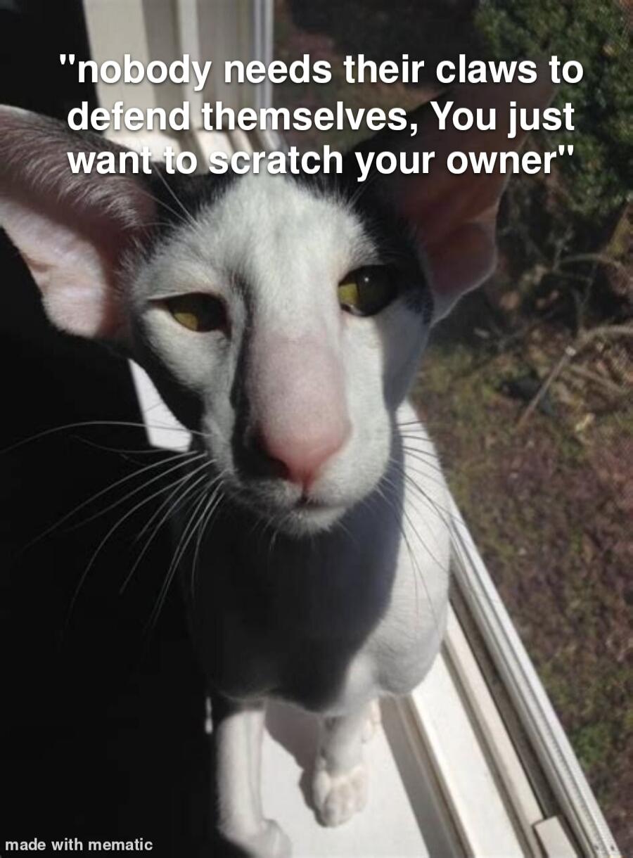 eds their claws to EENCE GITHTE ch your owner made with mematic