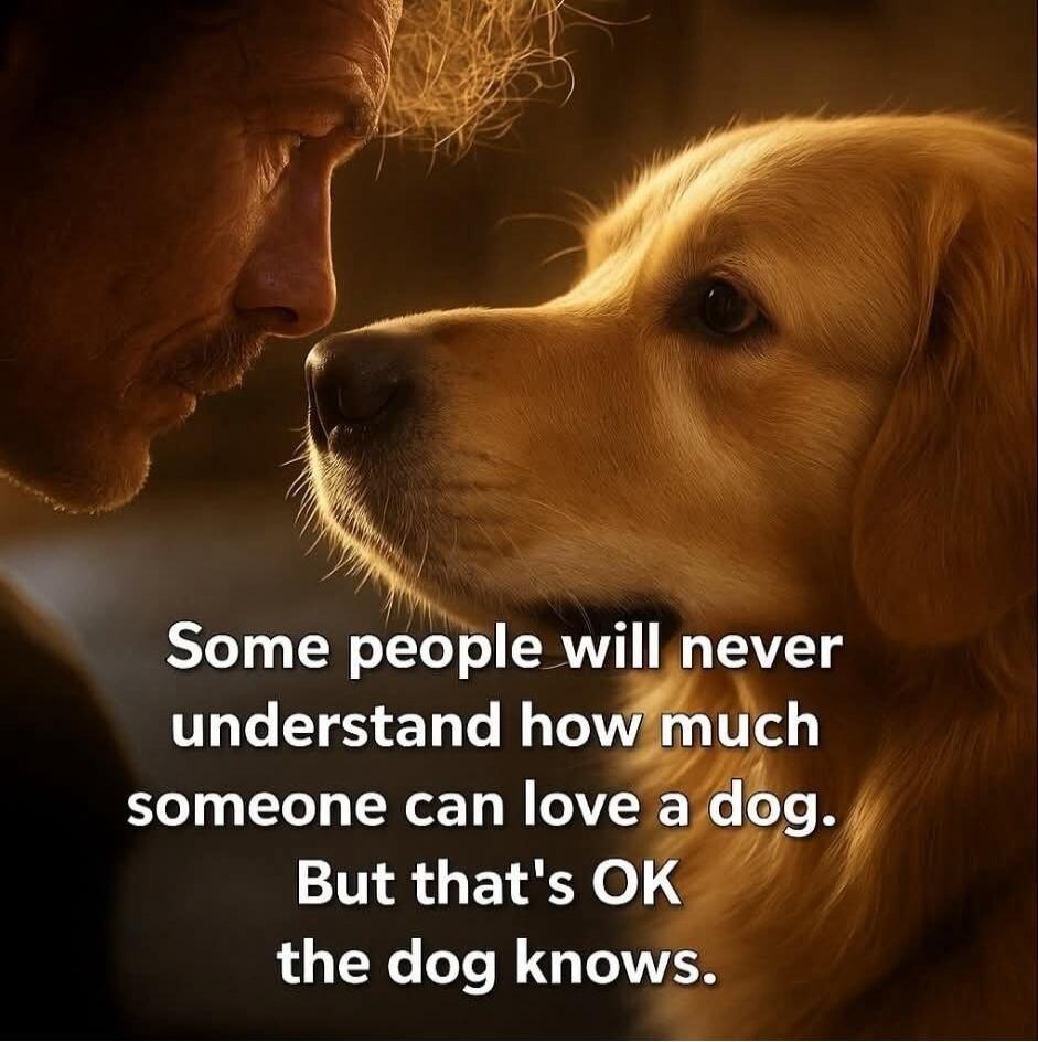 Some people will never understand how much someone can love a dog. But that's OK the dog knows.