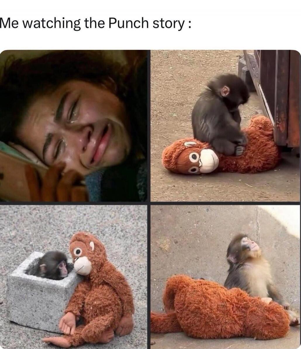 Me watching the Punch story :