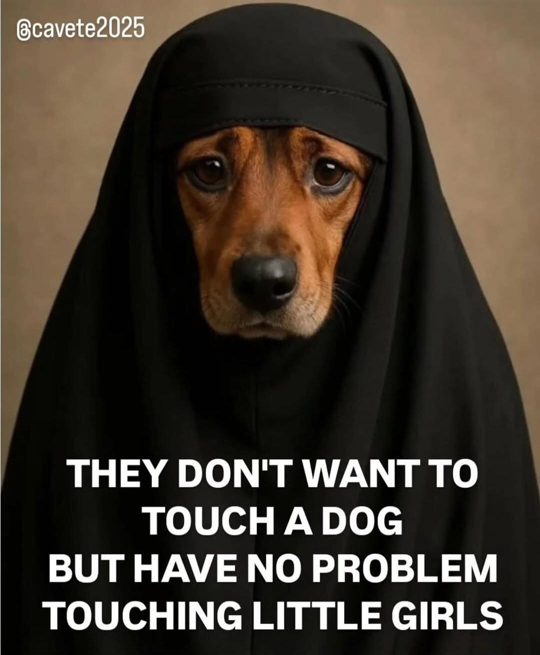 THEY DON'T WANT TO TOUCH A DOG BUT HAVE NO PROBLEM TOUCHING LITTLE GIRLS