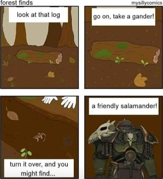 mysillycomic look at that log go on take a gander a friendly salamander o it over and you might find