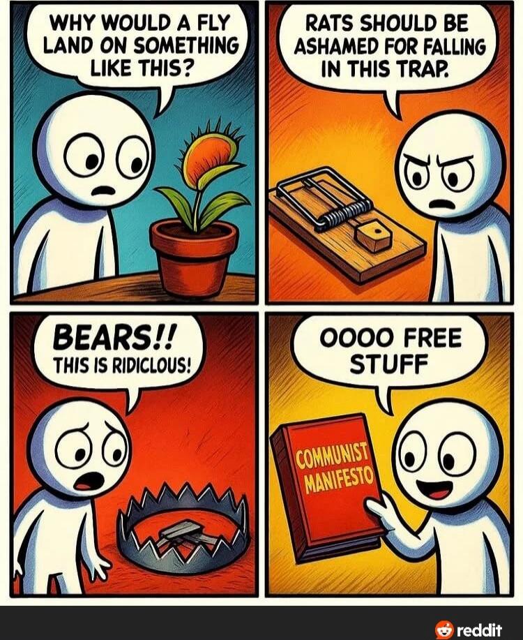 WHY WOULD A FLY LAND ON SOMETHING LIKE THIS?
RATS SHOULD BE ASHAMED FOR FALLING IN THIS TRAP
BEARS!! THIS IS RIDICULOUS!
OOOO FREE STUFF