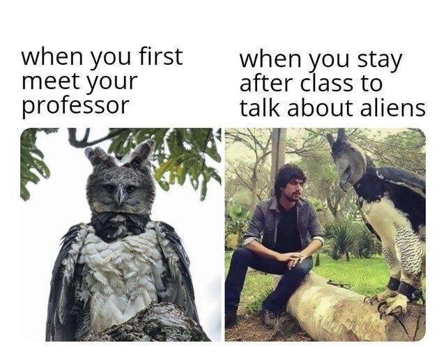 when you first when you stay meet your after class to professor talk about aliens v