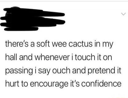 there's a soft wee cactus in my hall and whenever i touch it on passing i say ouch and pretend it hurt to encourage it's confidence