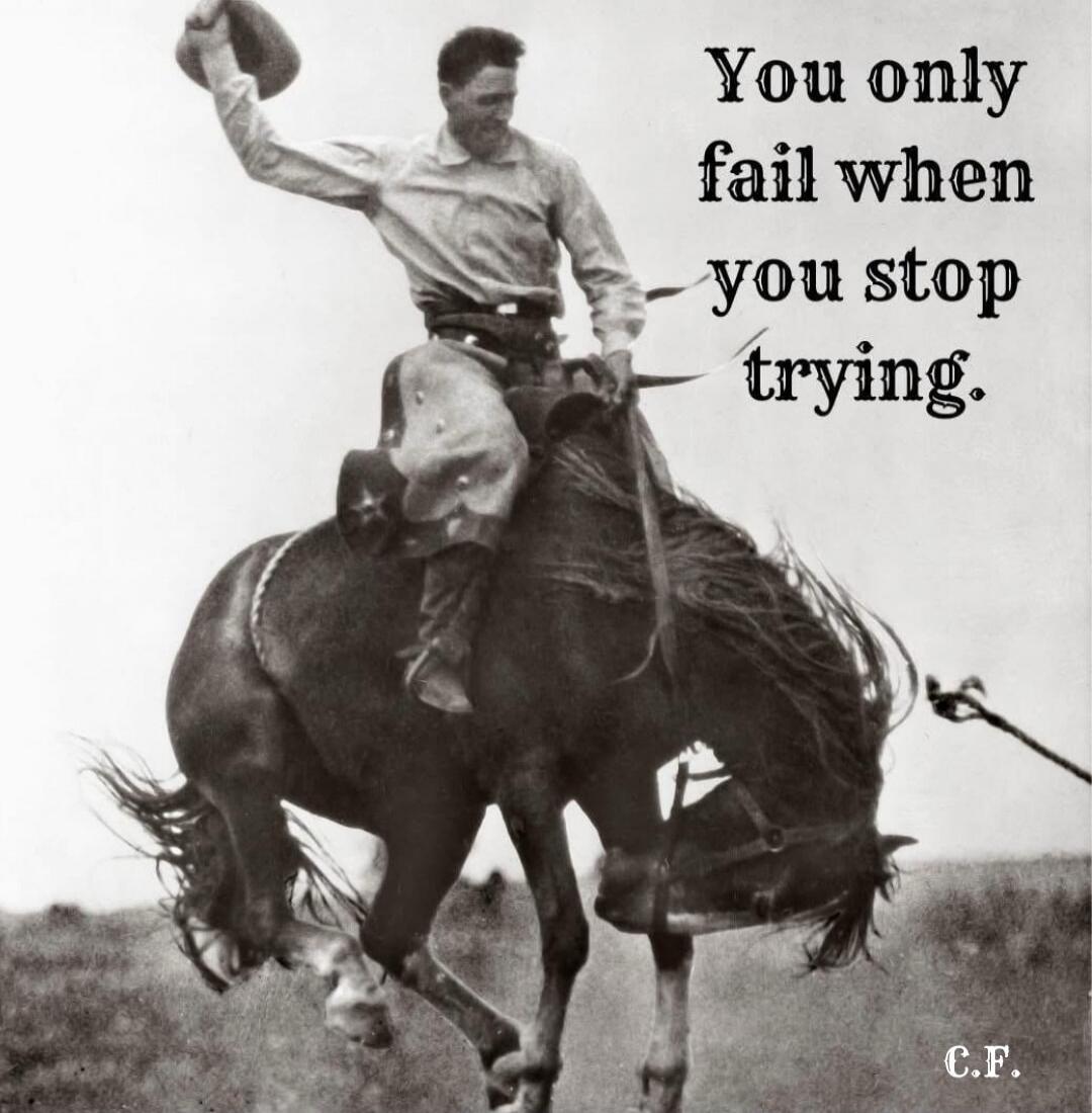 You only fail when you stop trying.