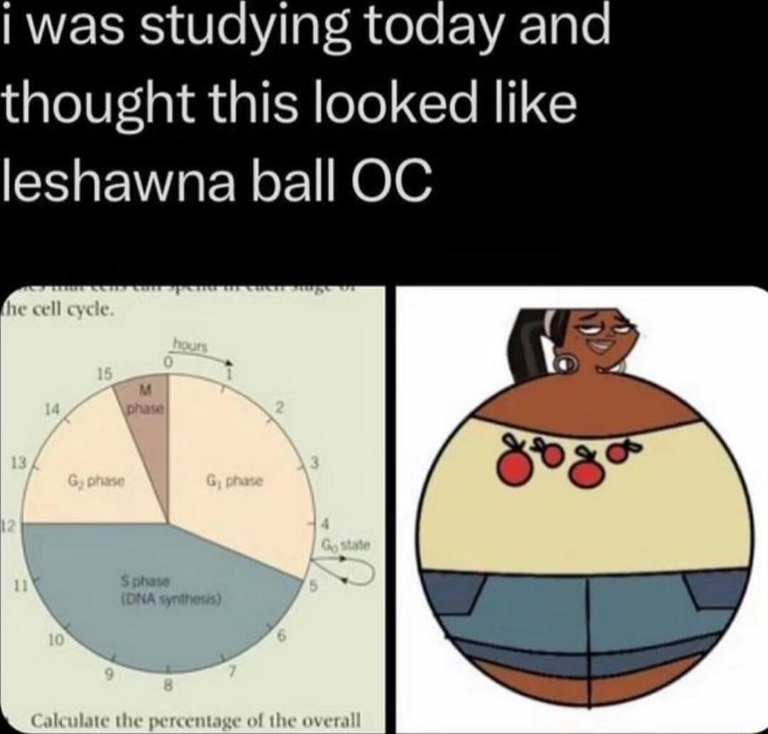 I was studying today and hought this looked like leshawna ball OC