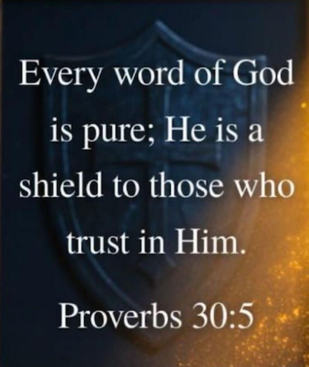 Every word of God is pure; He is a shield to those who trust in Him. Proverbs 30:5
