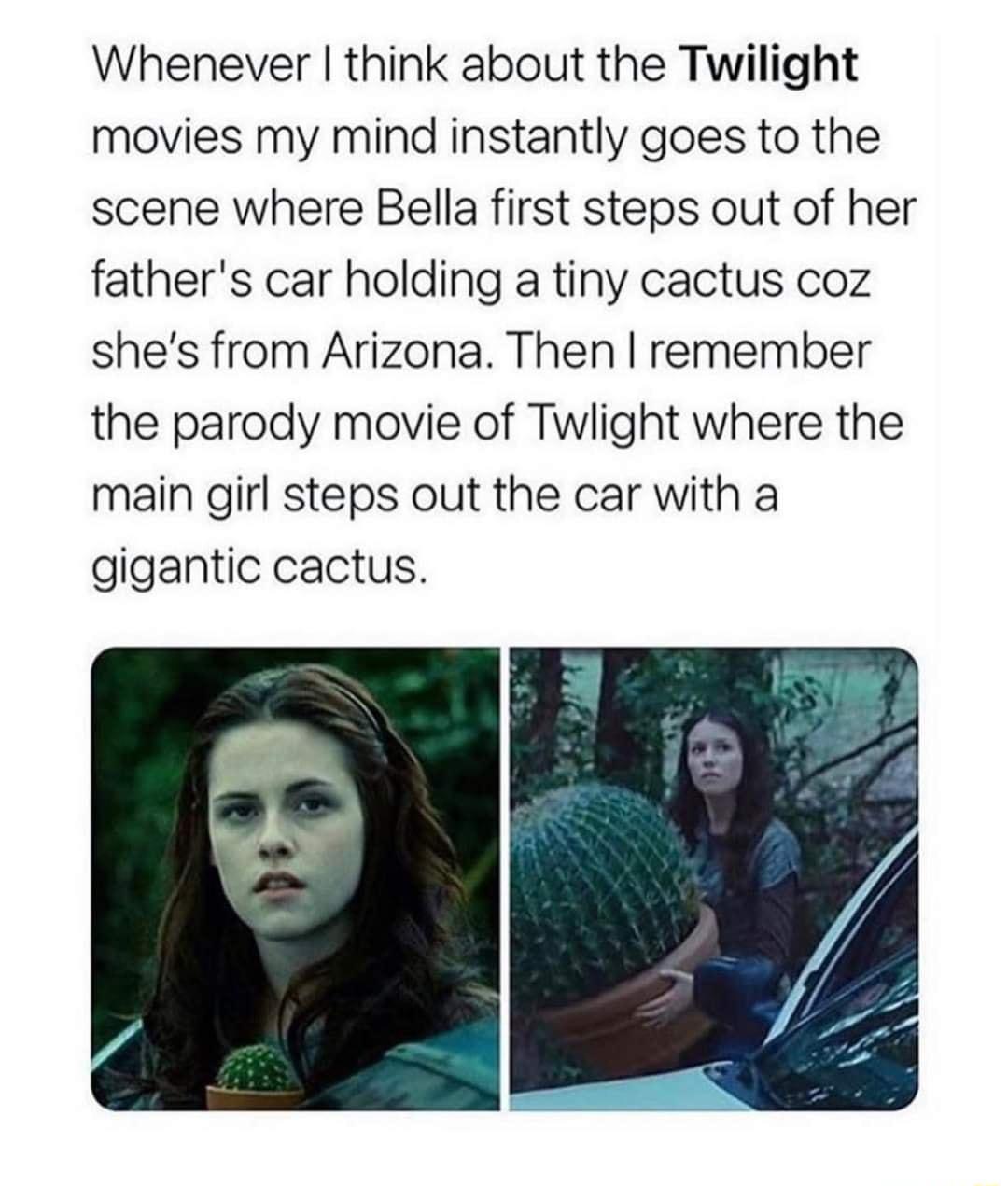 Whenever think about the Twilight movies my mind instantly goes to the scene where Bella first steps out of her fathers car holding a tiny cactus coz shes from Arizona Then remember the parody movie of Twlight where the main girl steps out the car with a gigantic cactus