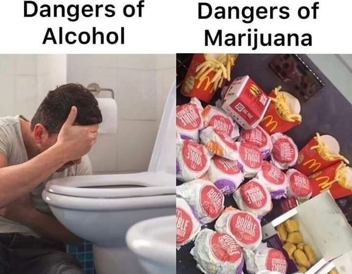 Dangers of Alcohol Dangers of Marijuana