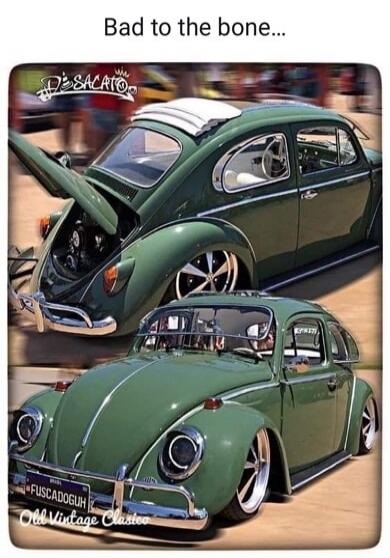 Bad to the bone... DESALATO FUSCADOGUH Old Vintage Classics