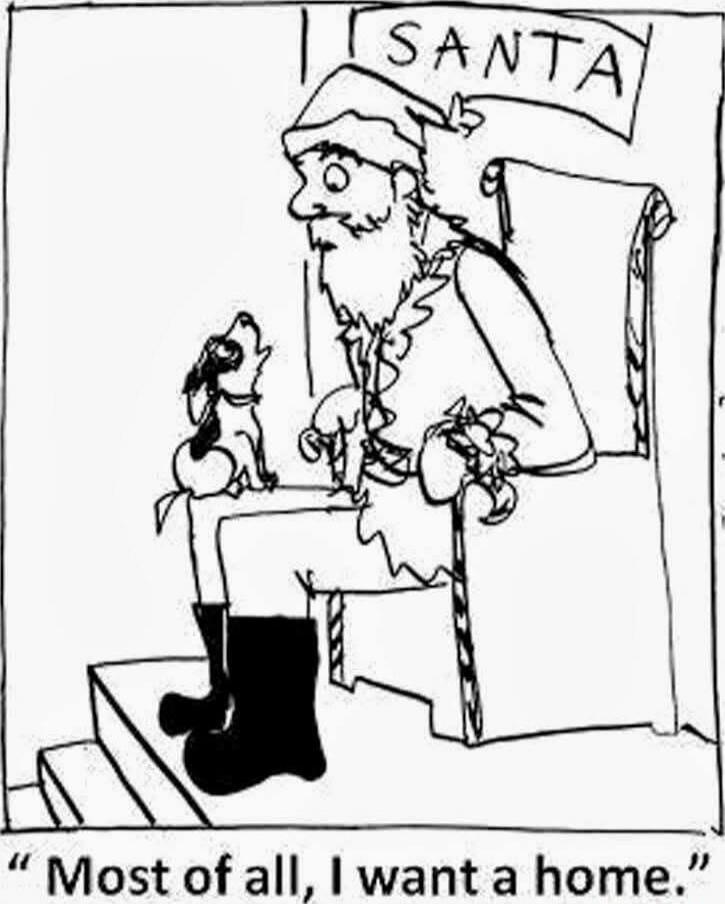 Most of all, I want a home.