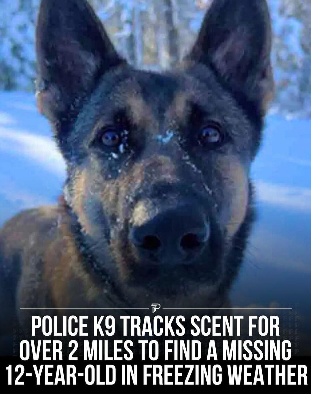 POLICE K9 TRACKS SCENT FOR OVER 2 MILES TO FIND A MISSING 12 YEAR OLD IN FREEZING WEATHER