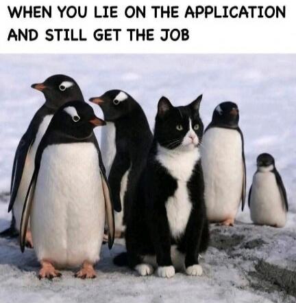 WHEN YOU LIE ON THE APPLICATION AND STILL GET THE JOB