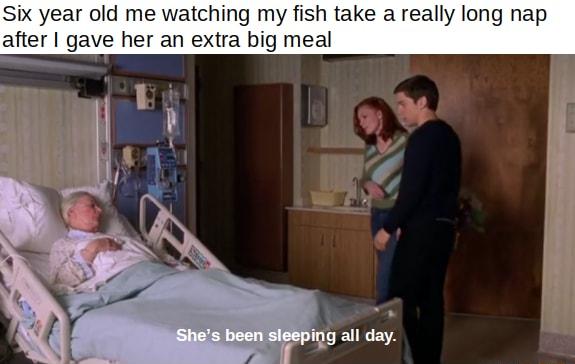 Six year old me watching my fish take a really lol p after gave her an extra big meal