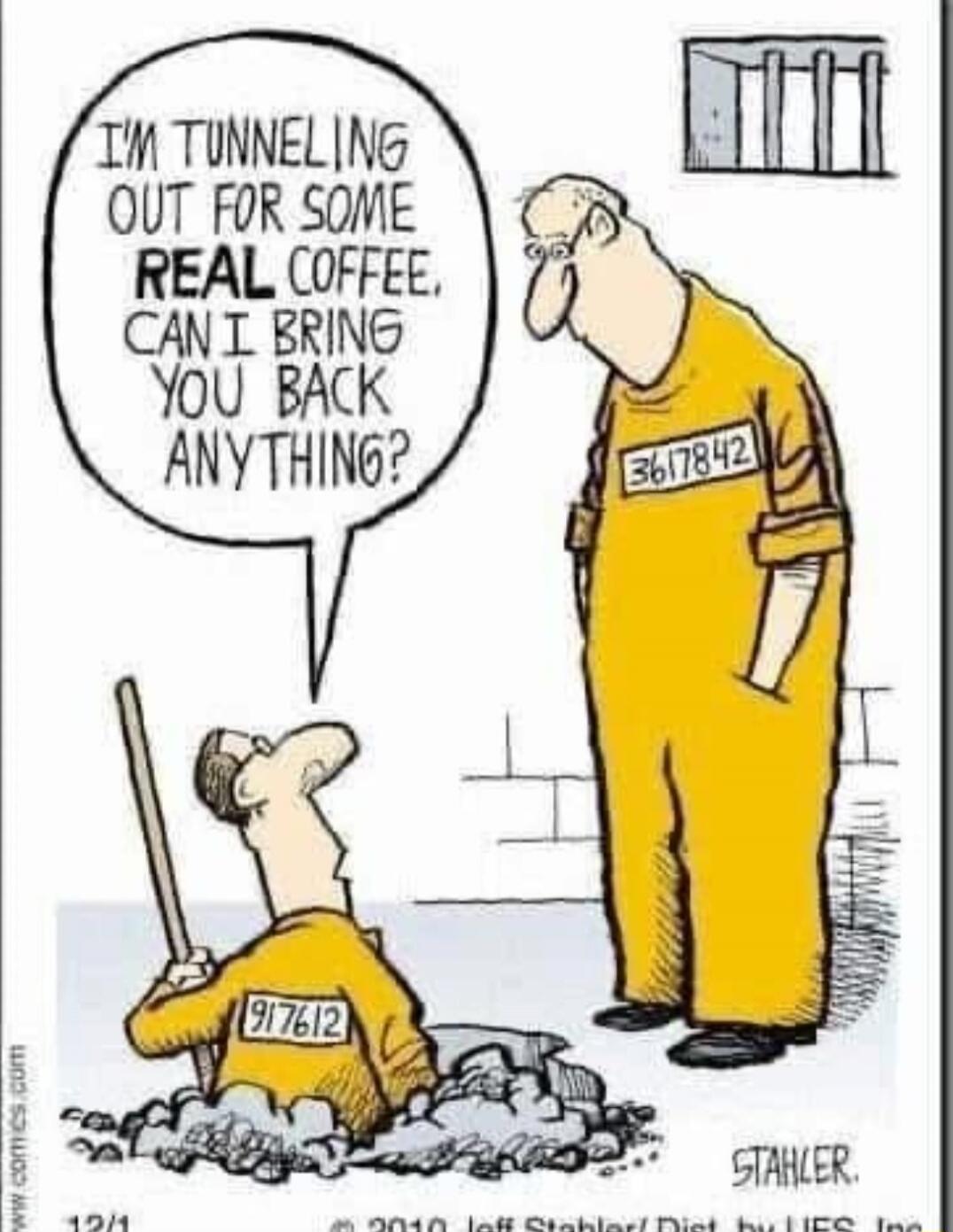 I'm tunneling out for some real coffee, can I bring you back anything?