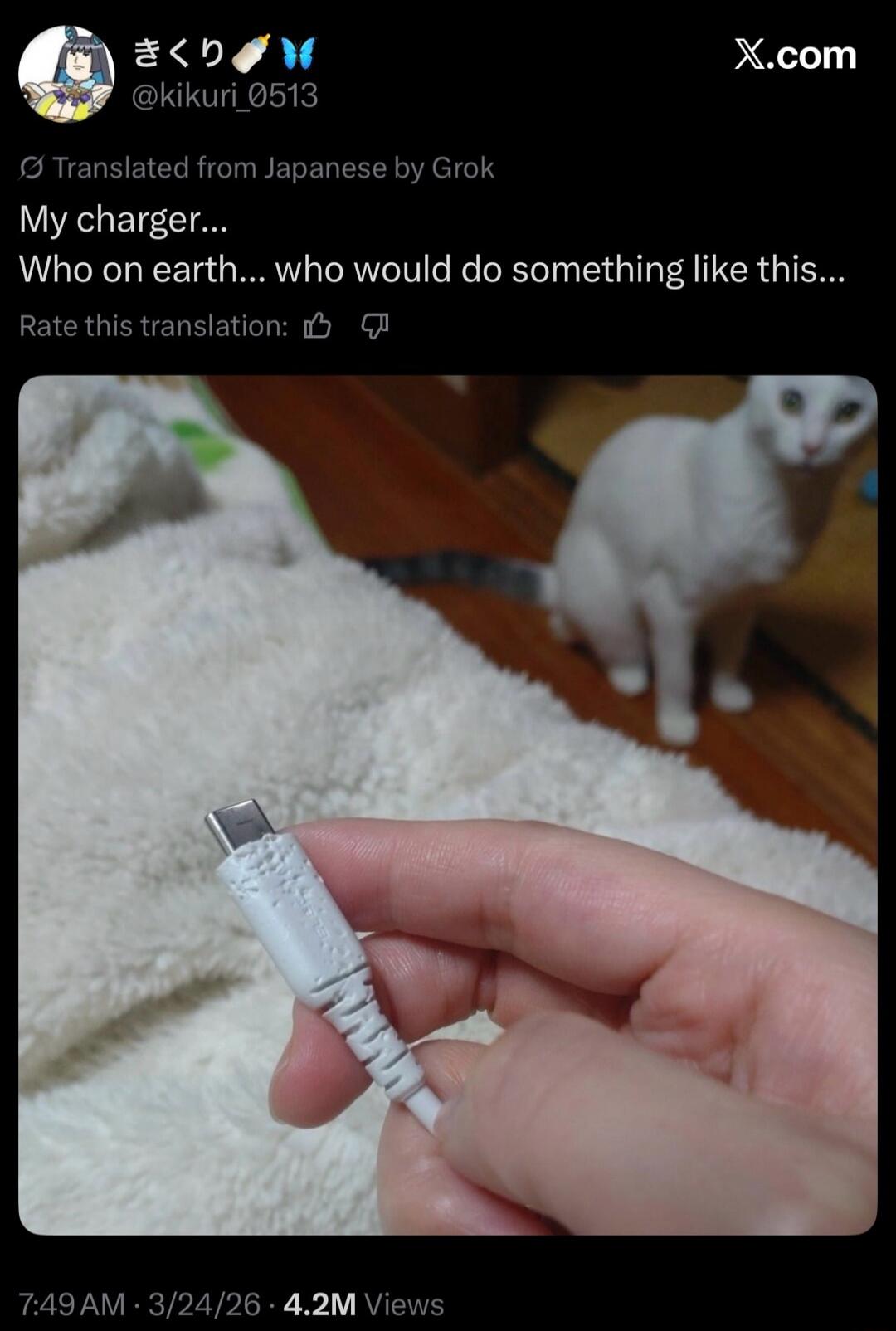 My charger... Who on earth... who would do something like this...