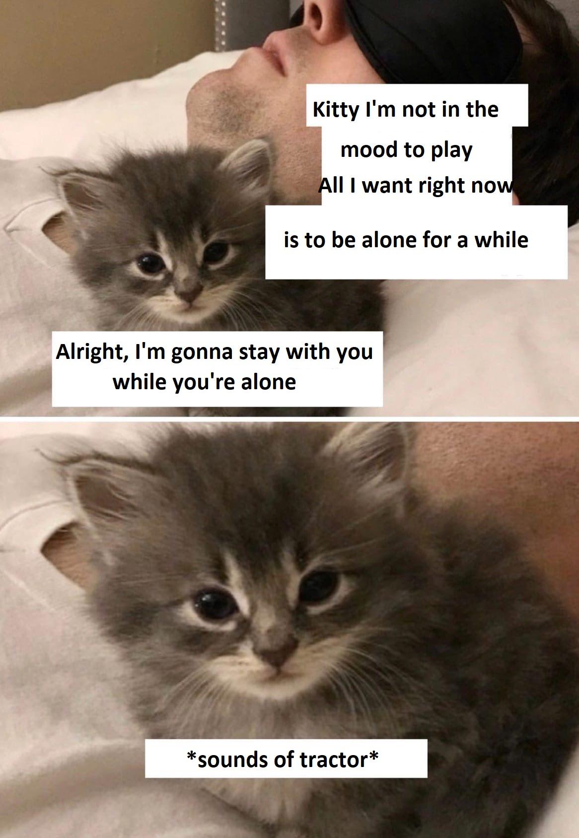 mood to play All want right no is to be alone for a while Alright Im gonna stay with you while youre alone