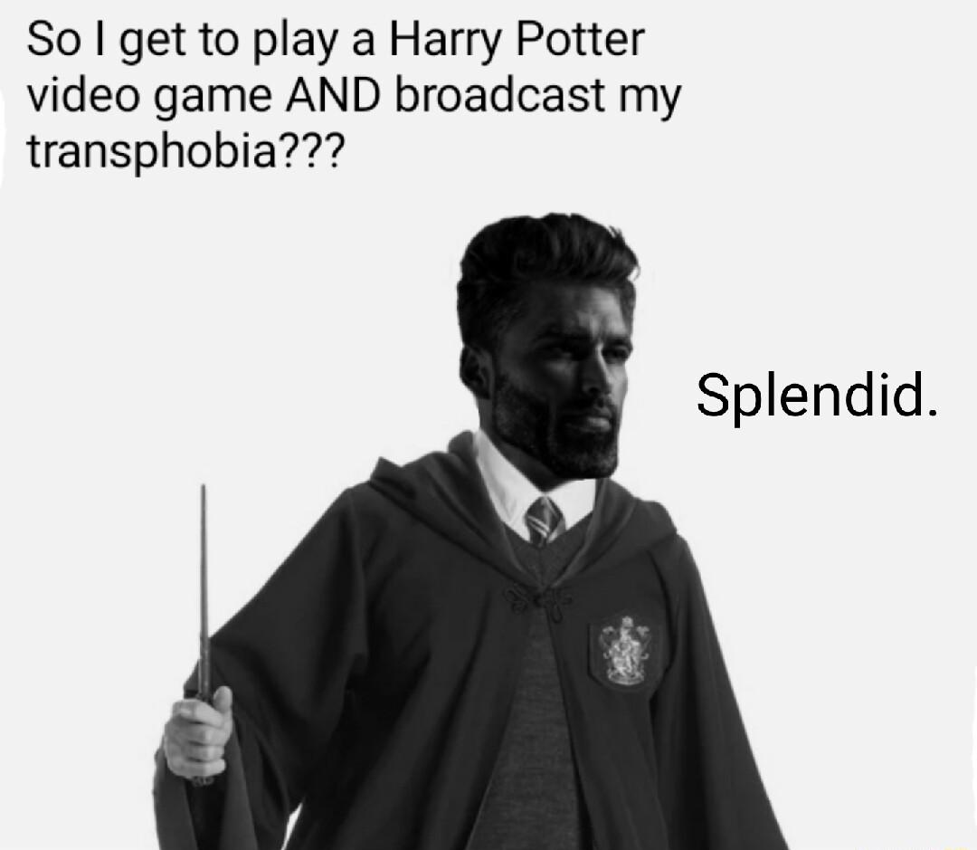 So get to play a Harry Potter video game AND broadcast my transphobia Splendid