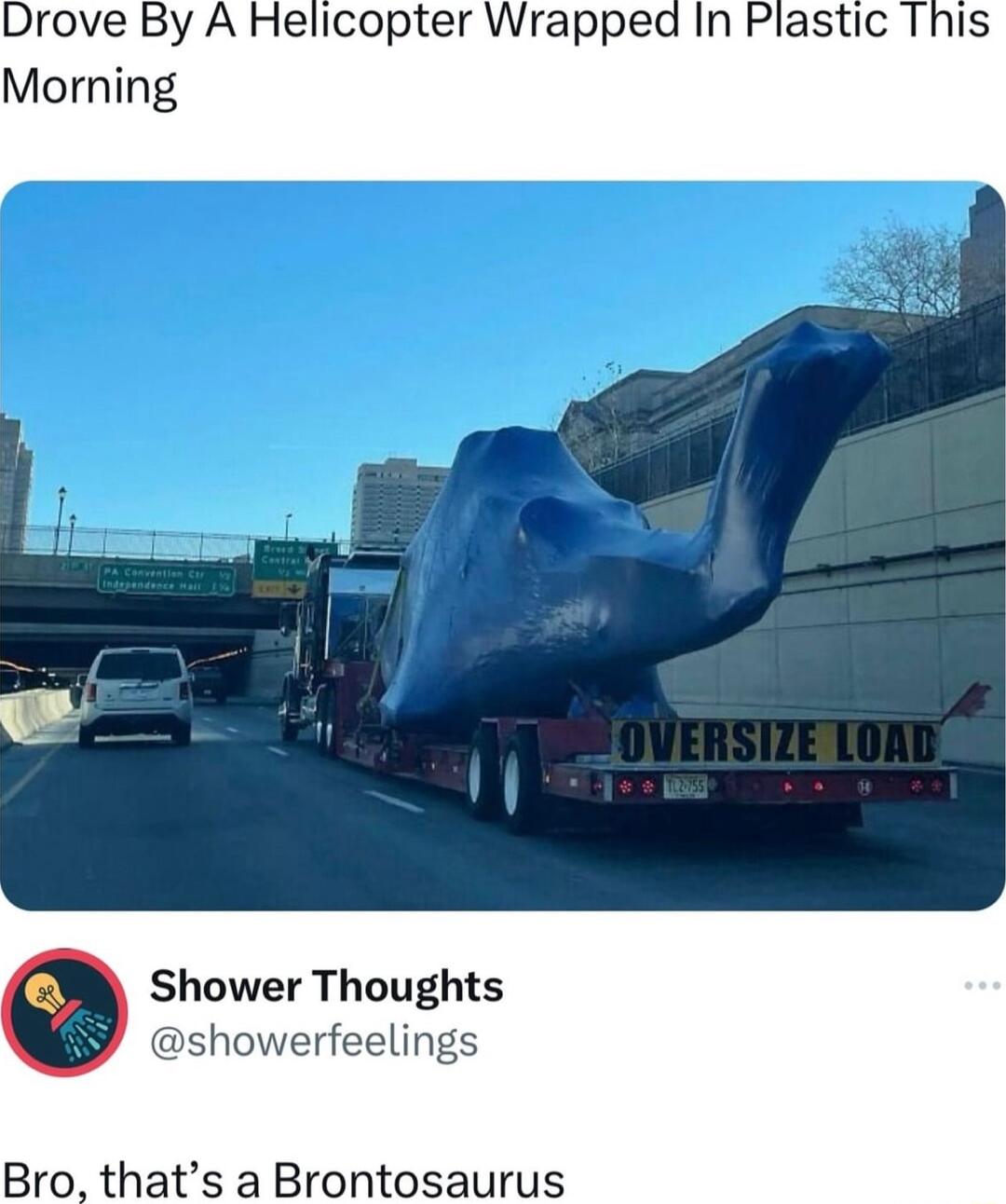 elicopter Wrapped In Plastic Shower Thoughts showerfeelings Bro thats a Brontosaurus