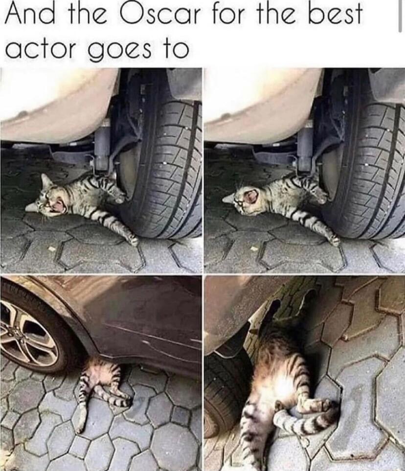 And the Oscar for the actor goes to