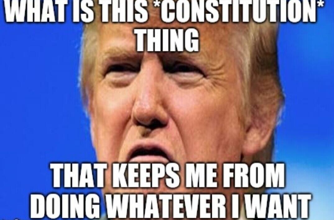 WHAT IS THIS *CONSTITUTION* THING THAT KEEPS ME FROM DOING WHATEVER I WANT