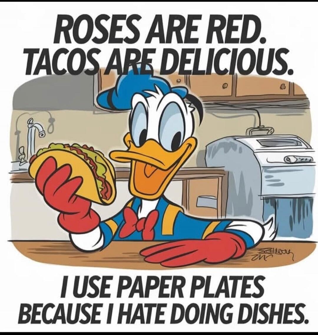 ROSES ARE RED. TACOS ARE DELICIOUS. I USE PAPER PLATES BECAUSE I HATE DOING DISHES.