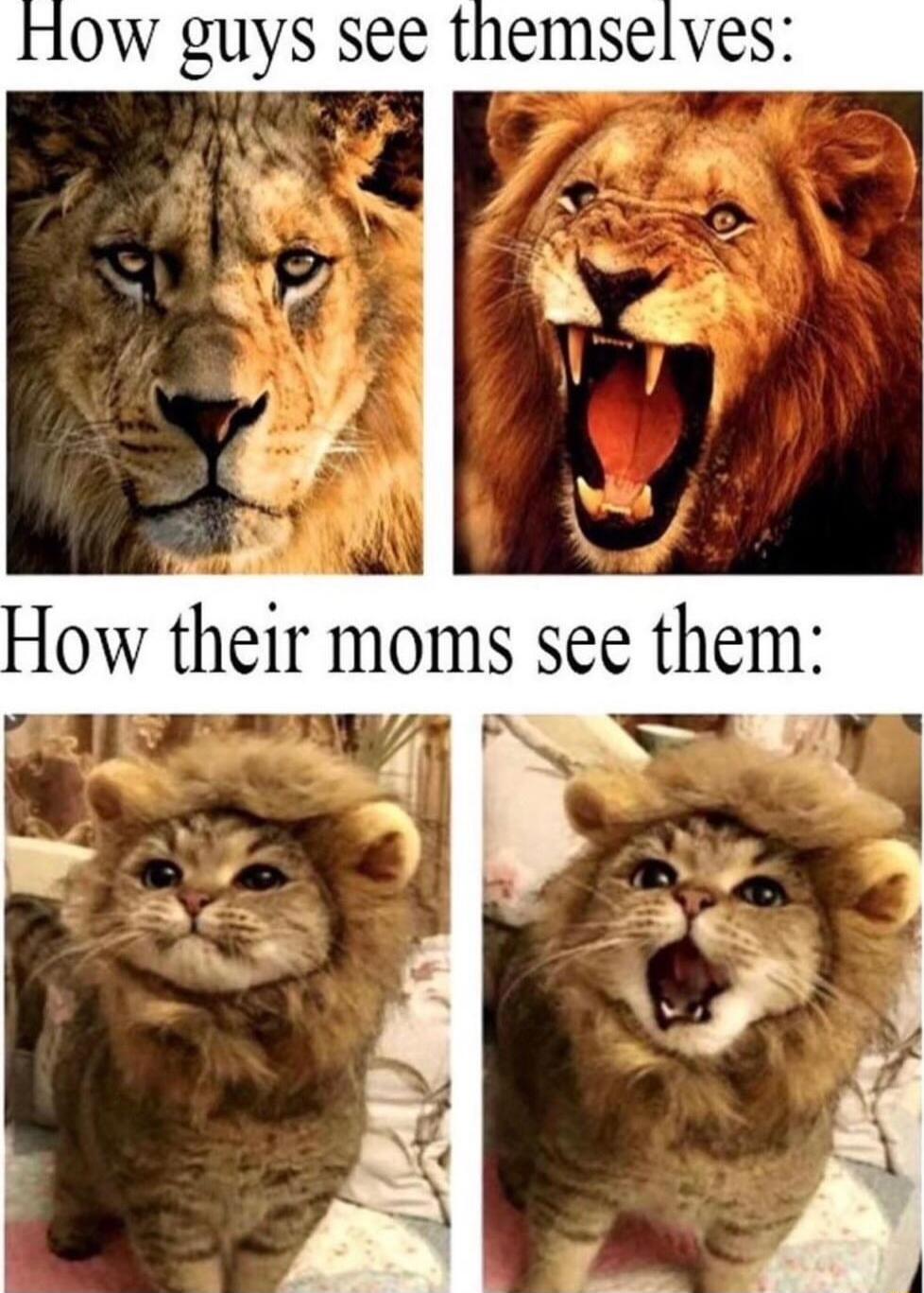 OW guys see themselves How their moms see them V P