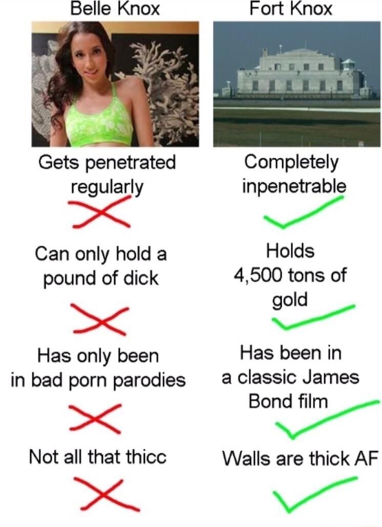 [name redacted]
Gets penetrated regularly
Can only hold a pound of dick
Has only been in bad porn parodies
Not all that thicc

Fort Knox
Completely impenetrable
Holds 4,500 tons of gold
Has been in a classic James Bond film
Walls are thick AF