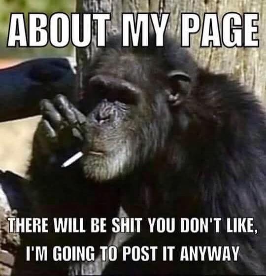ABOUT MY PAGE
THERE WILL BE SHIT YOU DON'T LIKE, I'M GOING TO POST IT ANYWAY