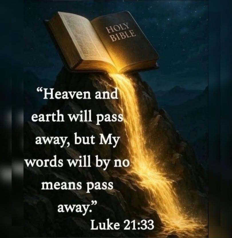 HOLY BIBLE. 