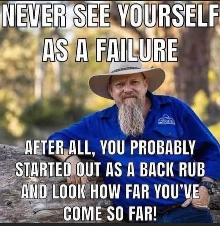 NEVER SEE YOURSELF AS A FAILURE AFTER ALL, YOU PROBABLY STARTED OUT AS A BACK RUB AND LOOK HOW FAR YOU'VE COME SO FAR!