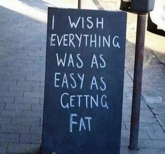 I WISH EVERYTHING WAS AS EASY AS GETTING FAT